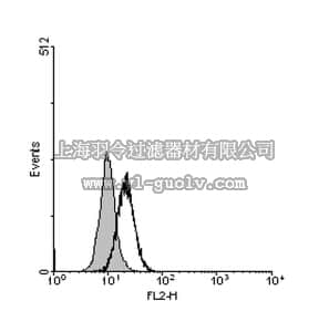 merck millipore,默克密理博,ABF17,Anti-TGF-beta Receptor Antibody, type I