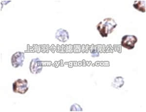 merck millipore,默克密理博,ABF216,Anti-IRGC Antibody