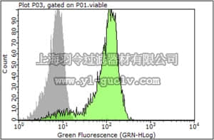merck millipore,默克密理博,ABF24,Anti-NLRP12 Antibody merck millipore,默克密理博,ABF24,Anti-NLRP12 Antibody