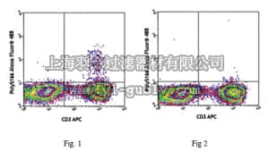 merck millipore,默克密理博,ABF278,Anti-IL-17F (human), Alexa Fluor 488, clone Poly5166 Antibody