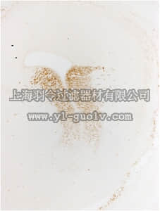 merck millipore,默克密理博,ABN162,Anti-Gsh2 Antibody