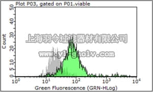 merck millipore,默克密理博,ABN184,Anti-Neuropilin-1 Antibody, EC domain