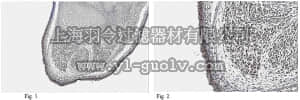 merck millipore,默克密理博,ABN40,Anti-DLK1 Antibody