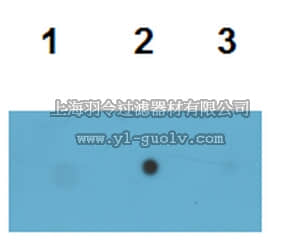 merck millipore,默克密理博,ABN454,Anti-Tau (T22), oligomeric Antibody