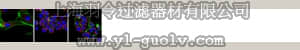 merck millipore,默克密理博,ABT12,Anti-PMP70 Antibody