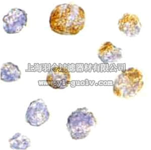 merck millipore,默克密理博,ABT405,Anti-KIF5 Antibody