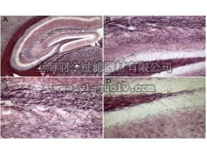 merck millipore,默克密理博,AG105,Black Gold II Myelin Staining Kit