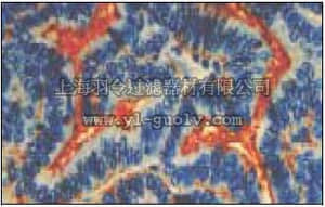 merck millipore,默克密理博,CA1004,Anti-CA 125 Mouse mAb (OC 125)