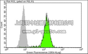 merck millipore,默克密理博,CBL496F,Anti-CD34 Class II Antibody, clone QBEND/10, FITC conjugated