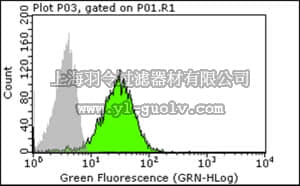 merck millipore,默克密理博,CBL517,Anti-CD28 Antibody, clone 15E8