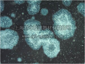 merck millipore,默克密理博,CC130,PluriSTEM-XF™ Recombinant Vitronectin