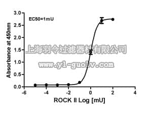 merck millipore,默克密理博,CSA001,Rho-associated Kinase (ROCK) Activity Assay
