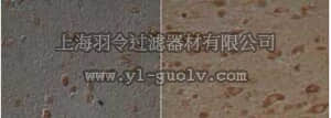 merck millipore,默克密理博,DR1001,Anti-8-Hydroxyguanosine Goat pAb
