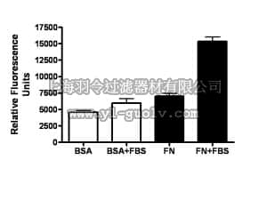 merck millipore,默克密理博,ECM201,QCM 3 µm Endothelial Cell Migration Assay - Fibronectin, Fluorometric