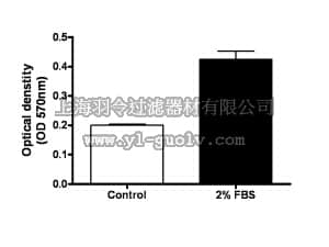 merck millipore,默克密理博,ECM210,QCM™ Endothelial Cell Invasion Assay (24 well, colorimetric)