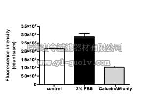merck millipore,默克密理博,ECM211,QCM™ Endothelial Cell Invasion Assay (24 well, fluorometric)