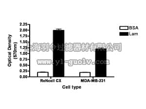 merck millipore,默克密理博,ECM220,QCM Laminin Migration Assay (24-well, colorimetric)