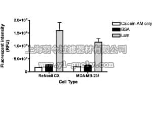 merck millipore,默克密理博,ECM221,QCM Laminin Migration Assay (24-well, fluorometric)