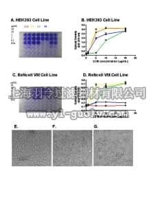 merck millipore,默克密理博,ECM542,ECM Cell Culture Optimization Array (Colorimetric, 48-Wells)