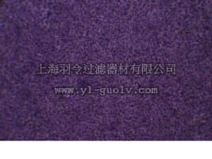 merck millipore,默克密理博,ECM557,QCM™ Leukocyte Transendothelial Migration Assay  (Colorimetric, 24 Assays)