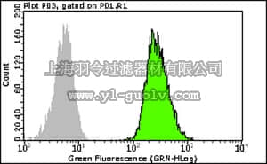 merck millipore,默克密理博,FCABS131F,Milli-Mark Anti-TBX21/T-Bet-FITC Antibody