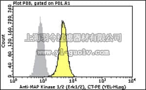 merck millipore,默克密理博,FCABS319PE,Milli-Mark Anti-MAP Kinase 1/2 (Erk1/2) Antibody, CT -PE