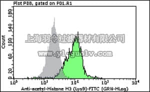 merck millipore,默克密理博,FCABS324F,Milli-Mark™ Anti-acetyl-Histone H3 (Lys9)-FITC Antibody