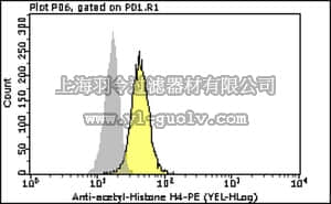 merck millipore,默克密理博,FCABS326PE,Milli-Mark Anti-acetyl-Histone H4 Antibody-PE