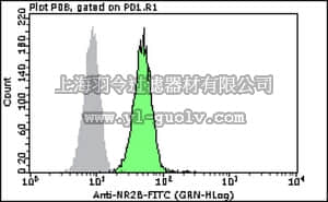 merck millipore,默克密理博,FCABS332F,Milli-Mark™ Anti-NR2B-FITC Antibody