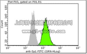merck millipore,默克密理博,FCABS345F,Milli-Mark™ Anti-Sp1-FITC Antibody