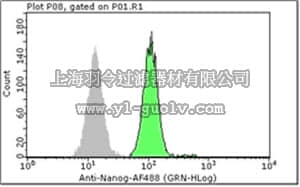 merck millipore,默克密理博,FCABS352A4,Milli-Mark™ Anti-Nanog-Alexa Fluor 488 Antibody, NT