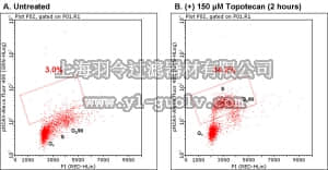 merck millipore,默克密理博,FCCH025142,FlowCellect™ Cell Cycle Checkpoint H2A.X DNA Damage Kit