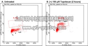 merck millipore,默克密理博,FCCH025143,FlowCellect™ Cell Cycle Checkpoint ATM DNA Damage Kit