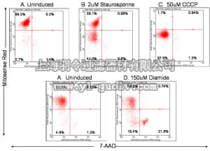 merck millipore,默克密理博,FCCH100105,FlowCellect MitoPotential Red Kit