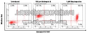 merck millipore,默克密理博,FCCH100109,FlowCellect MitoStress Kit