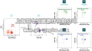 merck millipore,默克密理博,FCCH100139,FlowCellect™ T Cell MitoDamage Kit