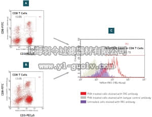 merck millipore,默克密理博,FCCH100140,FlowCellect™ Human CD8 T Cell FAS Kit