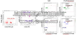 merck millipore,默克密理博,FCCH100155,FlowCellect™ Human T Cell Caspase 8 Kit