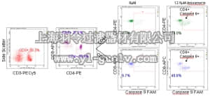 merck millipore,默克密理博,FCCH100156,FlowCellect™ Human T Cell Caspase 9 Kit