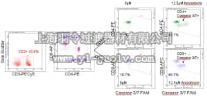 merck millipore,默克密理博,FCCH100157,FlowCellect™ Human T Cell Caspase 3/7 Kit