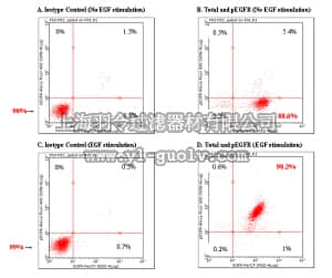 merck millipore,默克密理博,FCCS025107,FlowCellect™ EGFR RTK Activation Dual Detection Kit