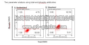 merck millipore,默克密理博,FCCS025143,FlowCellect™ STAT3 Activation Dual Detection Kit