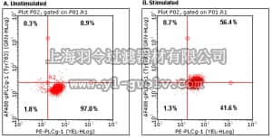 merck millipore,默克密理博,FCCS025145,FlowCellect™ PLC-gamma 1 Activation Dual Detection Kit