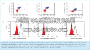 merck millipore,默克密理博,FCCS025550,FlowCellect™ Multi-STAT Activation Profiling Kit