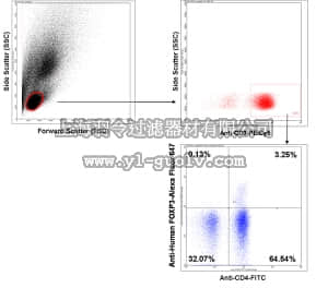 merck millipore,默克密理博,FCIM025118,FlowCellect™ Human FOXP3 Treg Characterization Kit