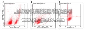 merck millipore,默克密理博,FCIM025125,FlowCellect™ Mouse Th17 Intracellular Cytokine Kit