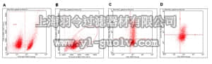 merck millipore,默克密理博,FCIM025137,FlowCellect™ Mouse Th1/Th2 Intracellular Cytokine Kit