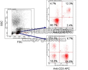merck millipore,默克密理博,FCIM025164,FlowCellect™ Human NK Cell Characterization Kit