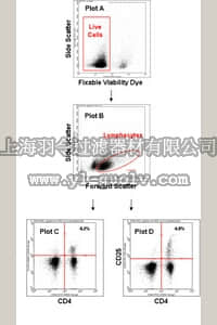 merck millipore,默克密理博,FCIM025168,FlowCellect™ Mouse Viable Treg Characterization Kit