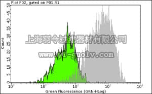 merck millipore,默克密理博,FCMAB101A4,Milli-Mark Anti-BrdU Antibody, clone BU-1 Alexa Fluor 488 conjugated